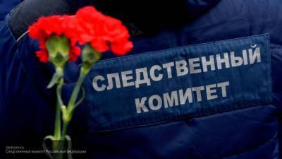 СК РФ поблагодарил школьницу из Архангельска за спасение одноклассницы