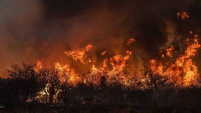 Пенсионерка заживо сгорела в доме в ходе природных пожаров в Ростовской области