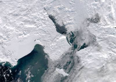 Ученые: площадь льдов в Беринговом море сократилась до минимума