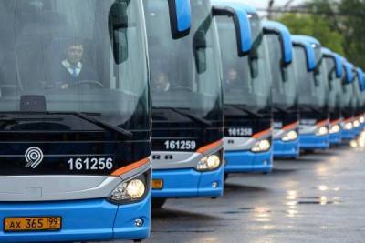 Спрос на автобусные маршруты Россия-Белоруссия вырос на 60%