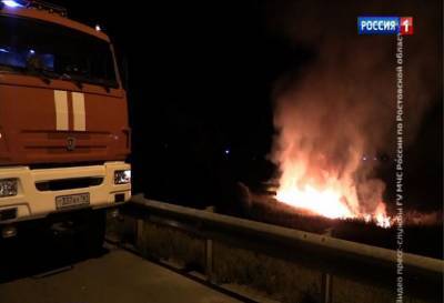 Замначальника департамента лесного хозяйства: 2 сентября на Дону произошло 49 природных пожаров