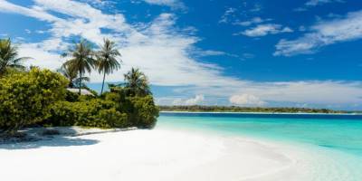 Лучший пляж в мире откроют только для тех, кто переболел коронавирусом