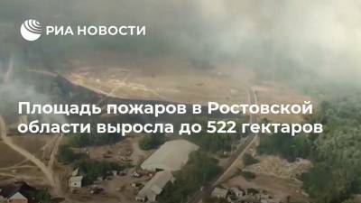 Площадь пожаров в Ростовской области выросла до 522 гектаров