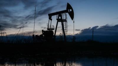 Вся президентская нефть: топливному рынку нужны альтернативные импульсы