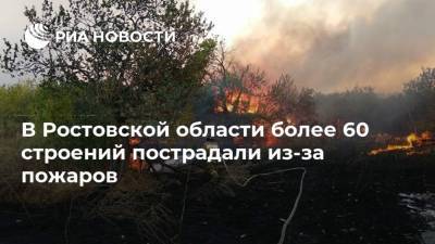 В Ростовской области более 60 строений пострадали из-за пожаров