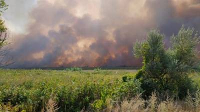 Двое военных получили ожоги во время тушения пожаров на Луганщине - штаб ООС