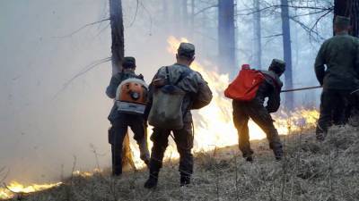 В Ростовской области ввели режим ЧС из-за масштабных лесных пожаров
