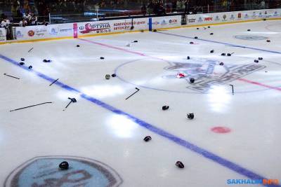 АХЛ, где играет хоккейный "Сахалин", отменила новый сезон