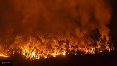 Негативные последствия лесных пожаров в Сибири продлятся до конца 2020 года