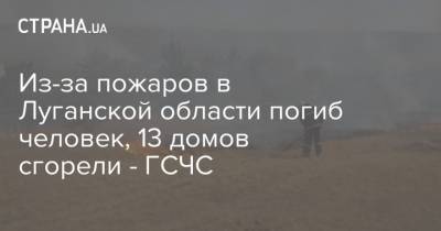 Из-за пожаров в Луганской области погиб человек, 13 домов сгорели - ГСЧС