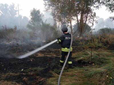 Пожары в Луганской области. Один человек погиб, двое госпитализированы с ожогами