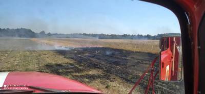 Сухая трава в Липецкой области в этом году горит на 80 процентов чаще