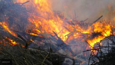 Природные пожары привели к вводу режима ЧС в Ростовской области