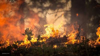 Режим ЧС введен в Ростовской области из-за пожаров