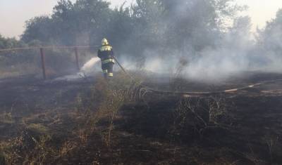 В Ростовской области ввели режим ЧС из-за природных пожаров