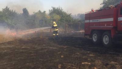 В Ростовской области из-за пожаров пострадали 46 человек