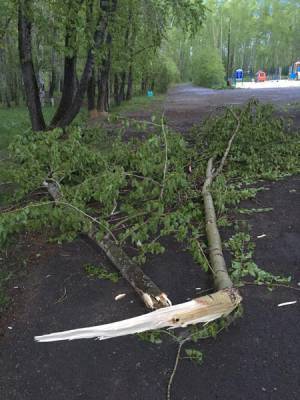 Упавшие деревья и опрокинутые остановки: последствия урагана в Свердловской области