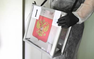 Депобр Москвы: досрочное голосование не повлияет на работу школ