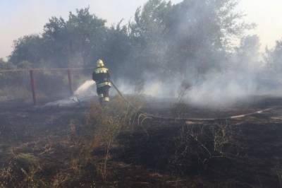 В Ростовской области из-за природных пожаров пострадали 46 человек