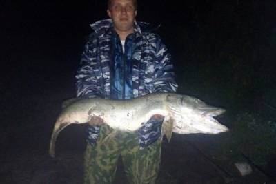 В Рязанской области на Оке поймали щуку весом в 8,5 кг