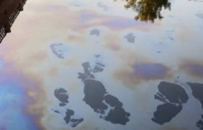 Росприроднадзор проверит сообщения о загрязнении реки Ижора