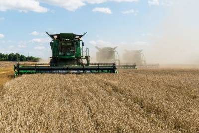 В Рязанской области собрали рекордный урожай зерна