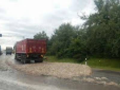 Во Львовской области из грузовика на дорогу рассыпались куриные тушки: дорогу заблокировало