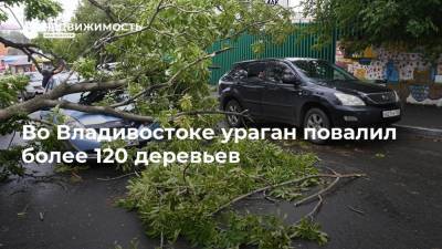 Во Владивостоке ураган повалил более 120 деревьев
