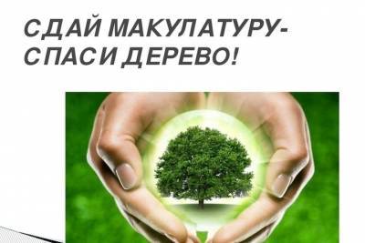 Эко-марафон «Сдай макулатуру - спаси дерево!» пройдёт в Мурманске