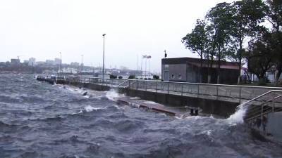 Тайфун "Майсак" обрушился на Приморье (видео)
