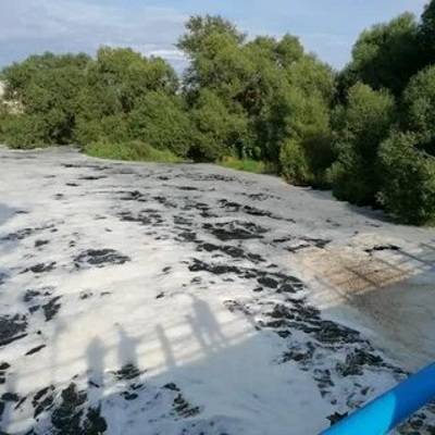 В Гатчине проверяют сообщения о загрязнении реки Ижора