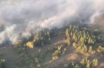 Число пострадавших от природных пожаров в Ростовской области выросло до 46