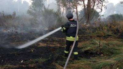 Пожар на Луганщине: ликвидированы 3 очага, еще 3 - в процессе тушения, - ГСЧС