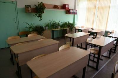 27 школьников пострадали при кварцевании класса в Благовещенске
