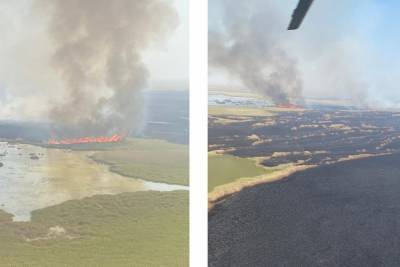 В Приморско-Ахтарске вспыхнул пожар на болотах