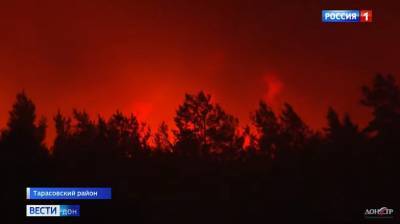 Пожар в Белокалитвинском районе ликвидирован, в Тарасовском тушение продолжается