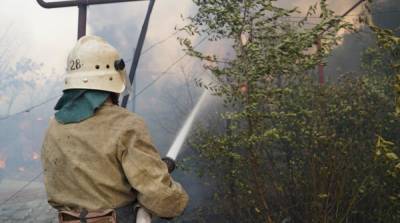 Пожар в Луганской области: потушили два очага огня