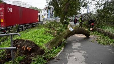 Супертайфун "Майсак": с таким ураганом Приморье столкнулось впервые за 50 лет