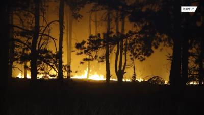 В Ростовской области при пожарах погиб один человек и 46 пострадали