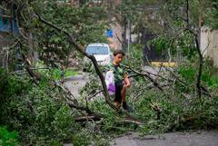 Тайфун "Майсак" оставил без света почти 80 тыс. жителей Приморья
