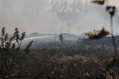 В Воронеже объявили чрезвычайную пожароопасность