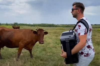 Под Запорожьем известный аккордеонист устроил бесплатный концерт для местных коров: видео мероприятия
