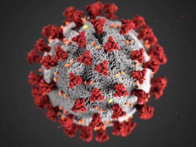 «Носила» 5 месяцев: Женщина установила рекорд по длительности заражения коронавирусом