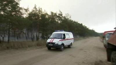Один человек погиб, десятки пострадали в природных пожарах в Ростовской области