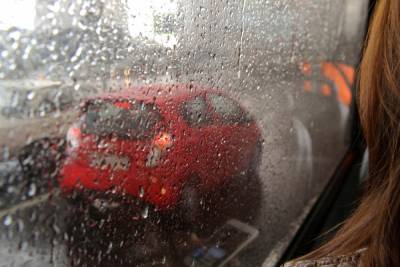В Ленобласти 4 сентября ожидаются дожди и до +22 градусов