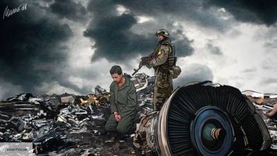AgoraVox: Киев допустил просчет и попался на лжи с MH17
