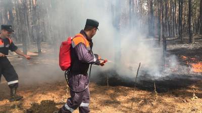 Названы предварительные причины пожаров в 3-х районах Ростовской области