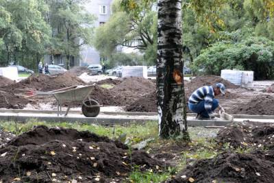 В Петербурге благоустроят 208 дворов и 12 общественных пространств