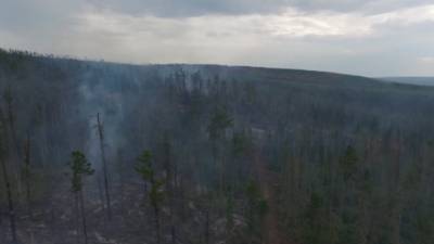 В Иркутской области горит более 11 тысяч гектаров леса