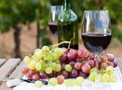 Домашнее вино: делаем вино из винограда, из яблок, из сливы